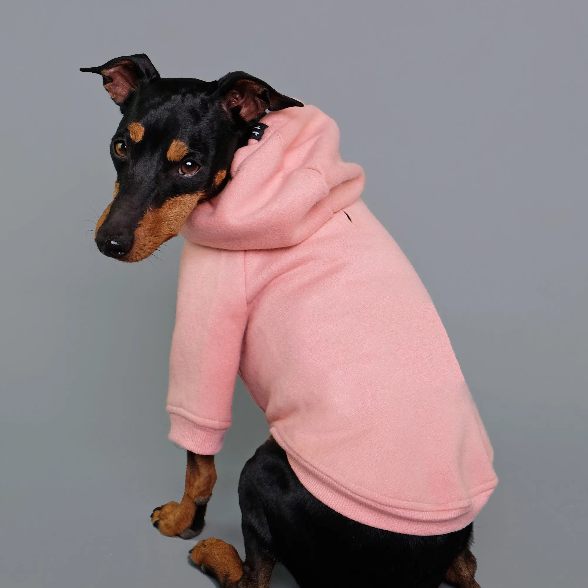 Dusty Pink  Dog Hoodie